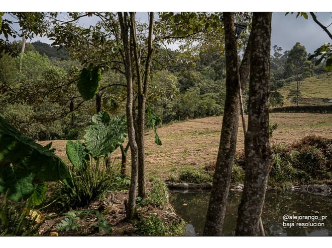 Lote en venta en El Tambo, La Ceja, 4166 m² · foto 5 de 10