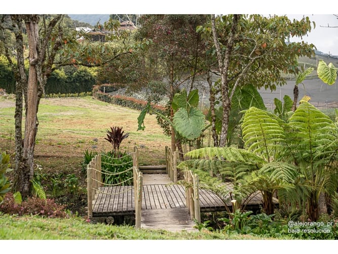Lote en venta en El Tambo, La Ceja, 4166 m² · foto 6 de 10