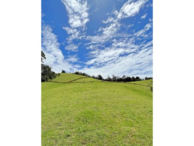 Lote en venta en El Tambo, La Ceja, 4166 m² · foto 9 de 10