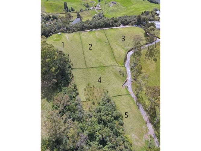 Lote en venta en El Tambo, La Ceja, 4166 m² · foto 10 de 10