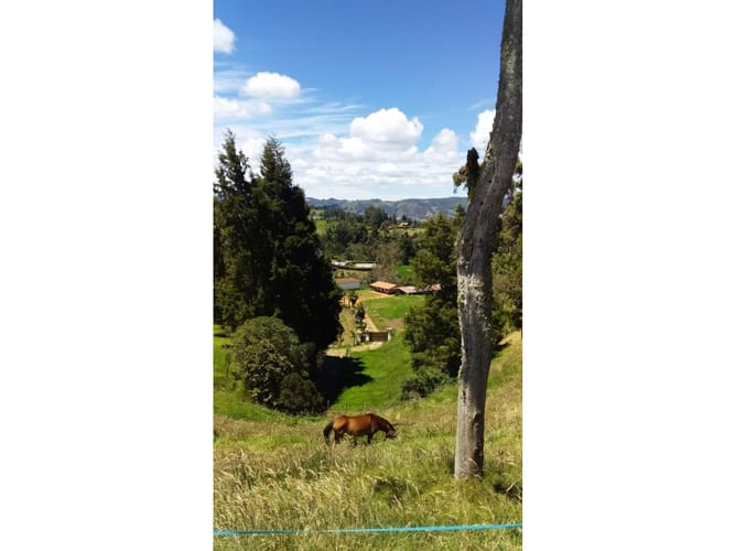Lote en venta en Piedras Blancas, Guarne, 120 m² · foto 4 de 14