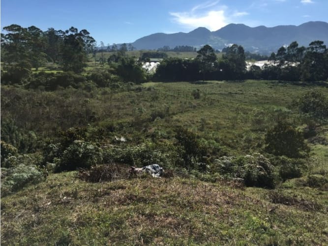 Lote en venta en El Porvenir, Rionegro · foto 10 de 15