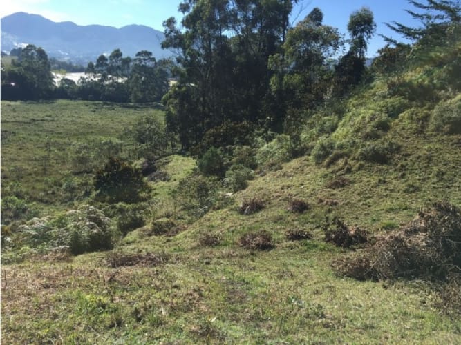 Lote en venta en El Porvenir, Rionegro · foto 11 de 15