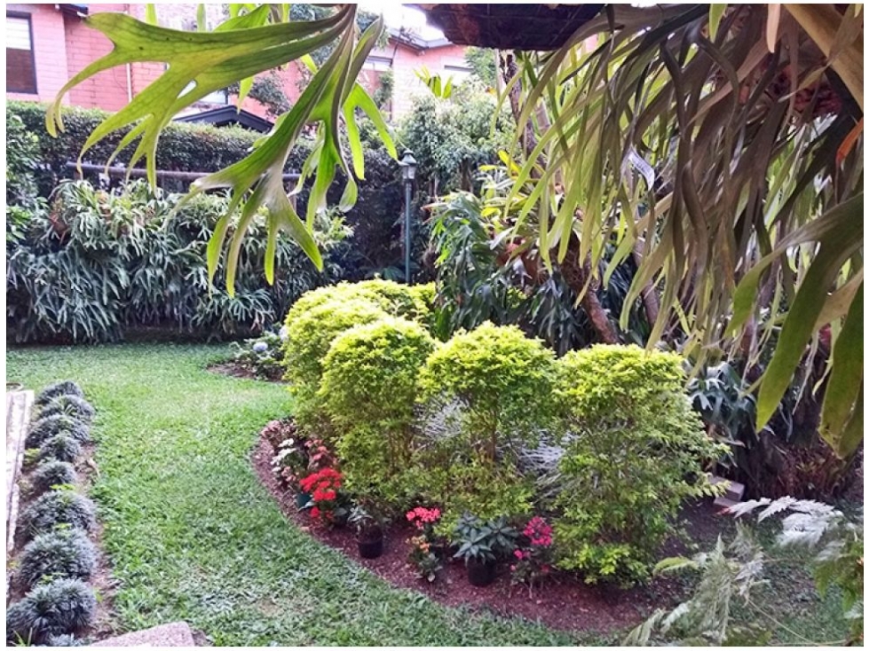 Casa de 4 alcobas en venta en Los Naranjos, Medellín, 302 m² · foto 8 de 24
