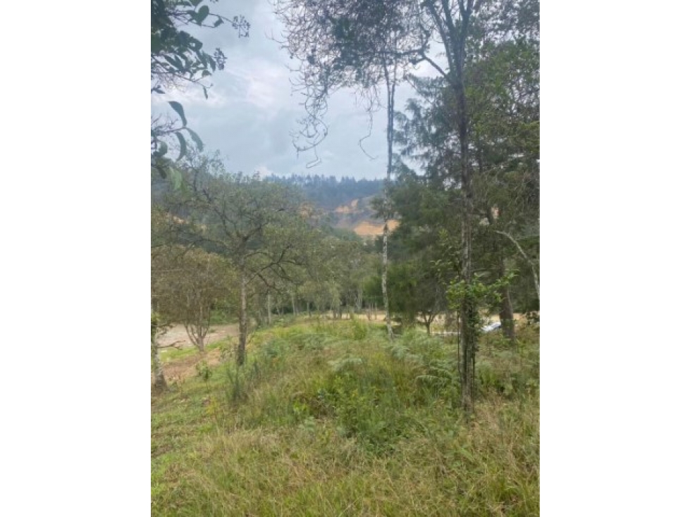 Land in El chuscal for Sale - 3