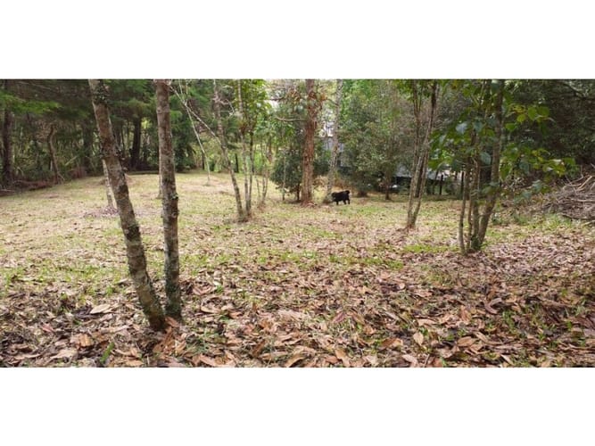 Lote en venta en Llano Grande, Rionegro, 150 m² · foto 3 de 15