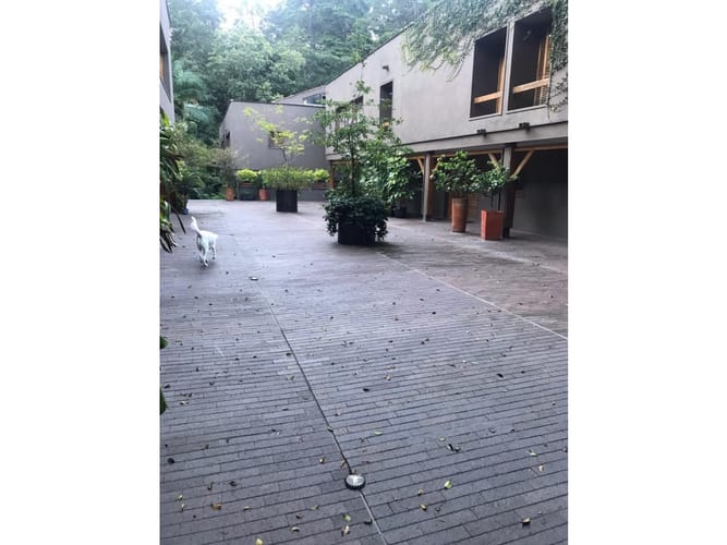 Casa de 1 alcoba en venta en Castropol, Medellín, 65 m² · foto 15 de 15