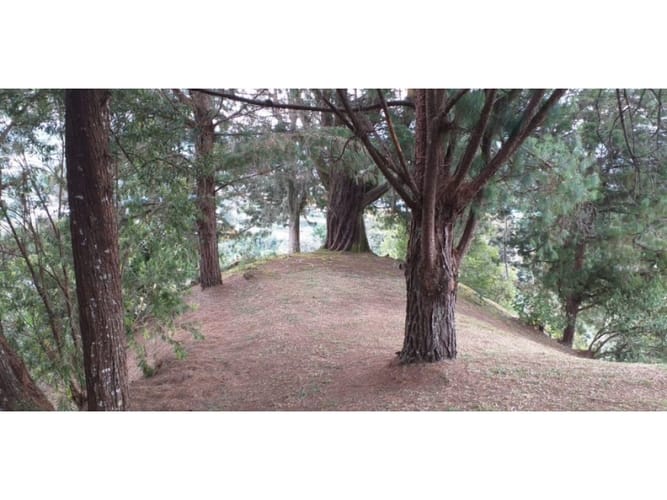 Lote en venta en Llano Grande, Rionegro, 150 m² · foto 5 de 15