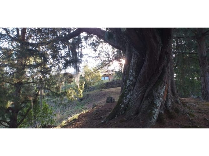 Lote en venta en Llano Grande, Rionegro, 150 m² · foto 7 de 15