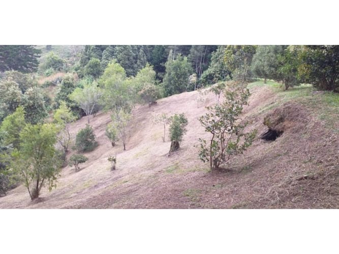 Lote en venta en Llano Grande, Rionegro, 150 m² · foto 8 de 15