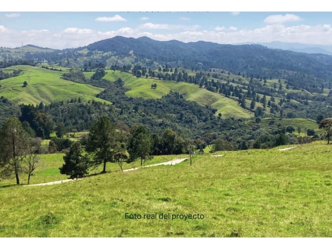 Lote en venta en Pantanillo, Envigado · foto 2 de 6