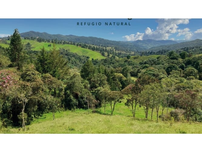 Lote en venta en Pantanillo, Envigado · foto 3 de 6