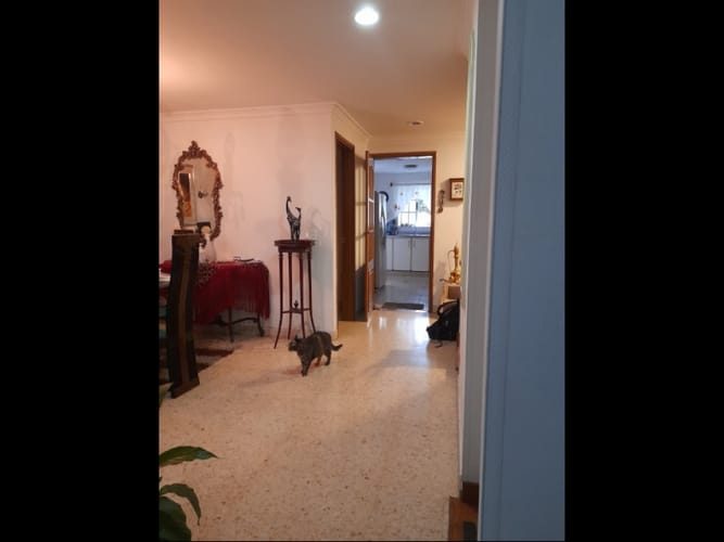 Casa de 3 alcobas en venta en Castropol, Medellín, 185 m² · foto 9 de 24