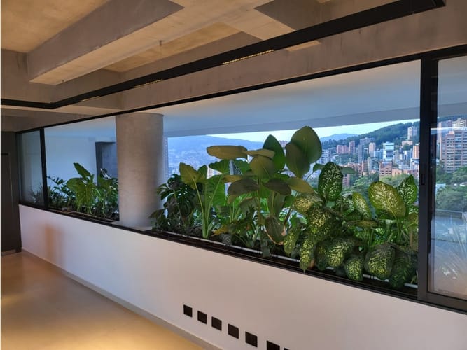 Apartamento en venta en El Poblado, Medellín · foto 2 de 13