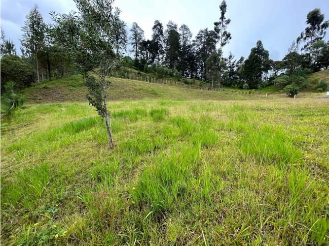Lote en venta en El Portento, El Retiro, 5750 m² · foto 6 de 7