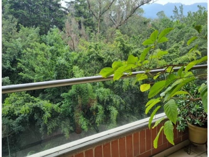Apartamento en venta en San Lucas, Medellín · foto 6 de 19
