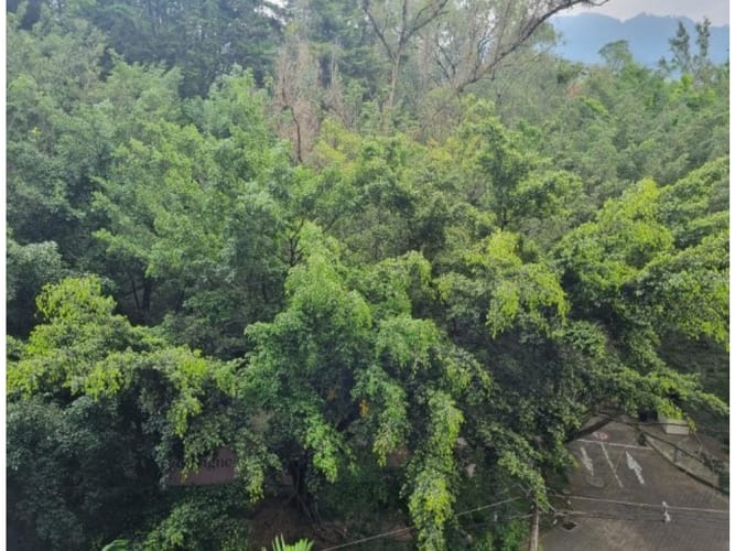 Apartamento en venta en San Lucas, Medellín · foto 7 de 19