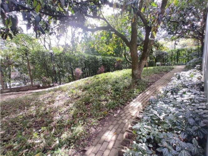 Apartamento de 4 alcobas en venta en Urbanizacion Villa Linda, Medellín, 166 m² · foto 15 de 15