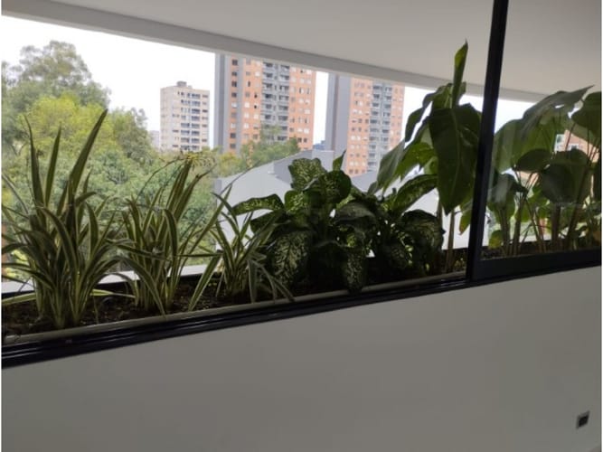 Apartamento de 3 alcobas en venta en Alejandría, Medellín, 230 m² · foto 14 de 19