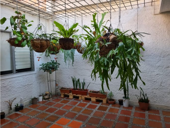 Casa de 4 alcobas en venta en Laureles, Medellín, 250 m² · foto 16 de 16