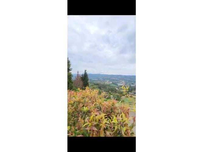 Lote en venta en Guarne, 2000 m² · foto 4 de 13