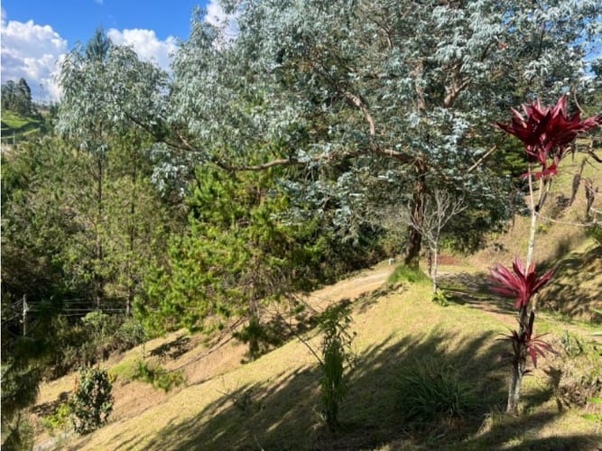 Casa de 2 alcobas en venta en El Porvenir, Rionegro, 200 m² · foto 14 de 24