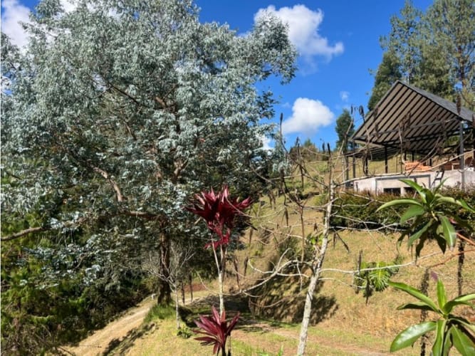 Casa de 2 alcobas en venta en El Porvenir, Rionegro, 200 m² · foto 17 de 24
