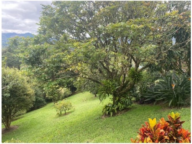 Casa de 4 alcobas en venta en El Tablazo, Rionegro, 426 m² · foto 5 de 24