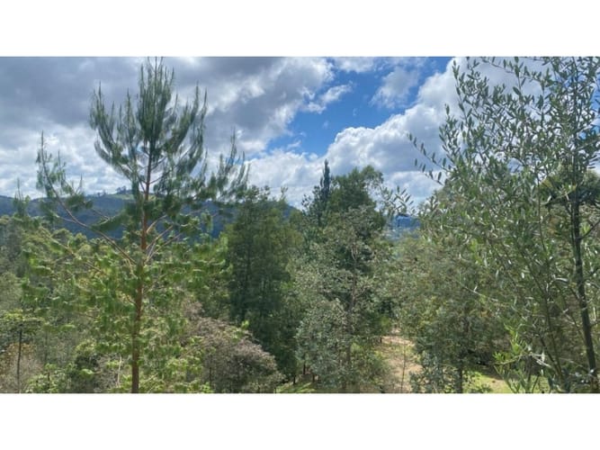 Casa de 4 alcobas en venta en El Chuscal, El Retiro, 250 m² · foto 6 de 6