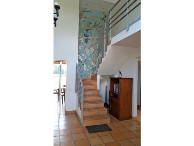 Casa de 4 alcobas en venta en Hojas Anchas, Guarne, 420 m² · foto 4 de 19