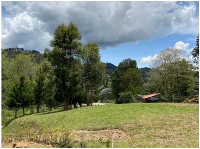 Lote en venta en El Chuscal, El Retiro, 1883 m² · foto 6 de 19