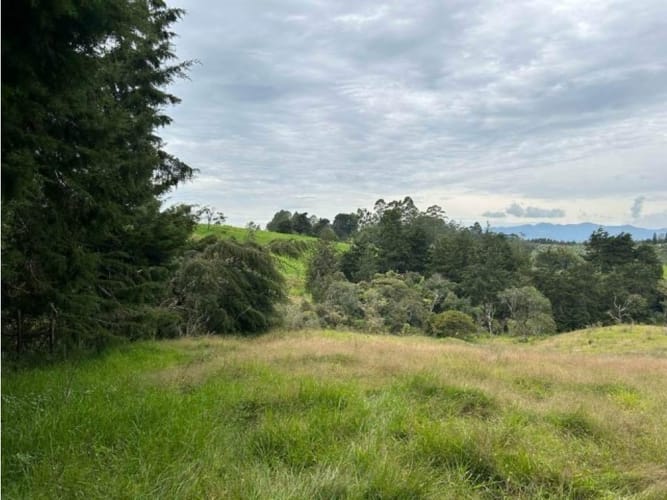 Lote en venta en El Porvenir, Rionegro, 25000 m² · foto 2 de 5