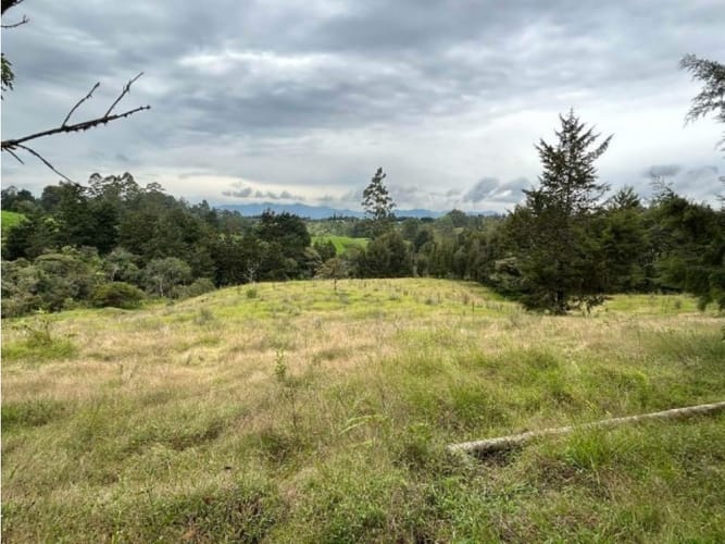Lote en venta en El Porvenir, Rionegro, 25000 m² · foto 3 de 5