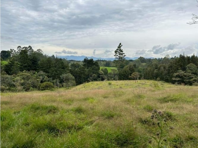 Lote en venta en El Porvenir, Rionegro, 25000 m² · foto 4 de 5