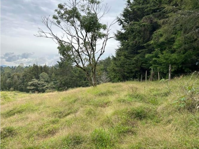 Lote en venta en El Porvenir, Rionegro, 25000 m² · foto 5 de 5