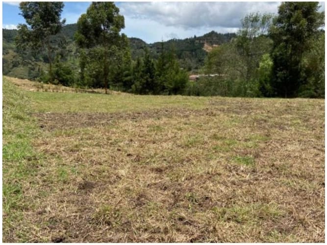 Lote en venta en El Chuscal, El Retiro, 1883 m² · foto 16 de 19