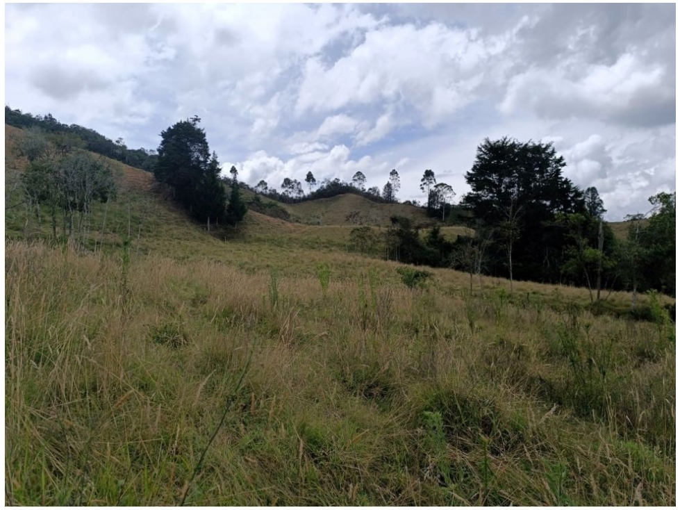 Lote en venta en Pantanillo, El Retiro · foto 5 de 12