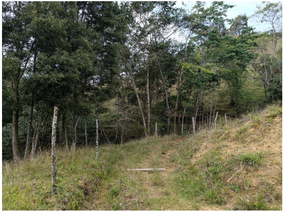 Lote en venta en Pantanillo, El Retiro · foto 6 de 12