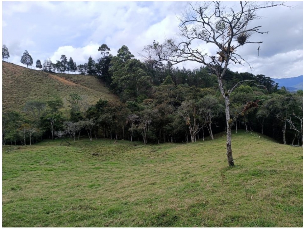 Lote en venta en Pantanillo, El Retiro · foto 7 de 12