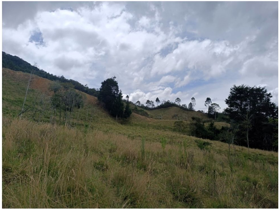 Lote en venta en Pantanillo, El Retiro · foto 9 de 12