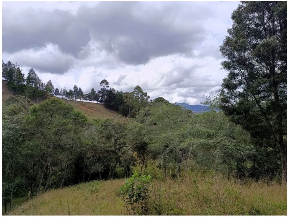 Lote en venta en Pantanillo, El Retiro · foto 10 de 12