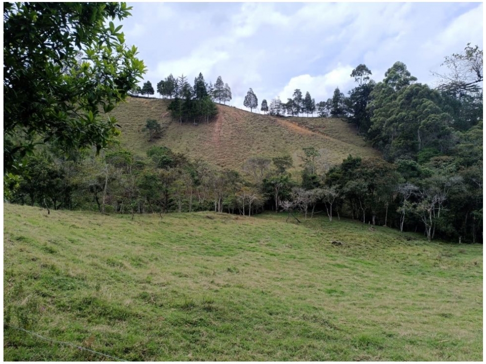Lote en venta en Pantanillo, El Retiro · foto 11 de 12