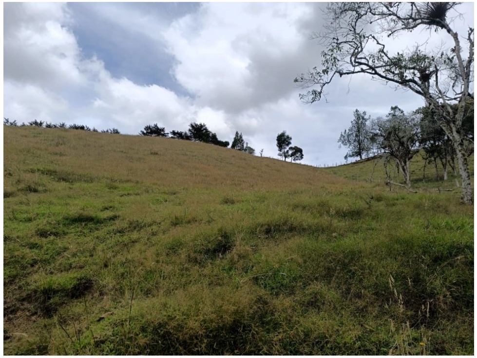 Lote en venta en Pantanillo, El Retiro · foto 12 de 12