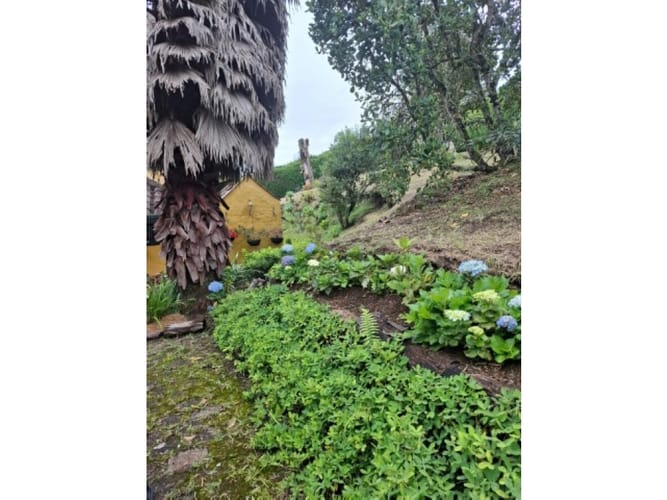 Casa de 3 alcobas en venta en Alto De La Virgen, Guarne, 160 m² · foto 7 de 24