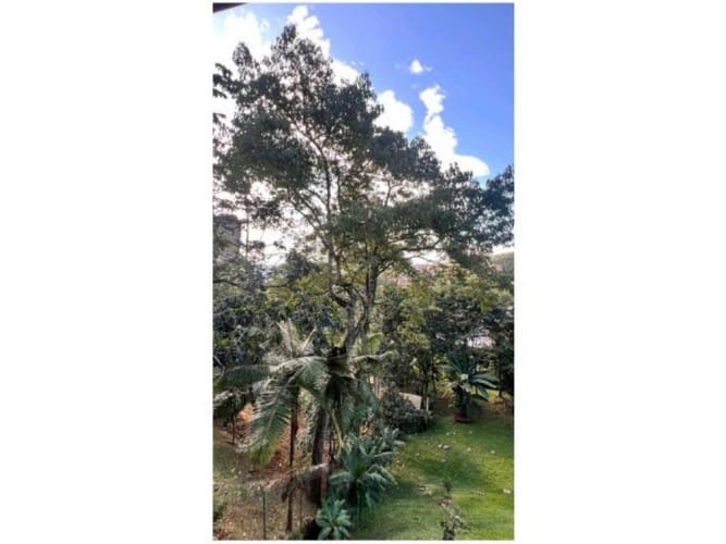 Casa de 6 alcobas en venta en El Poblado, Medellín, 450 m² · foto 8 de 24