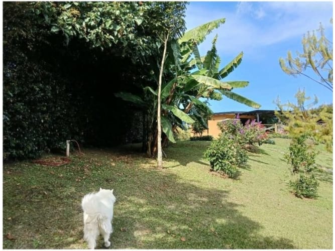 Casa de 2 alcobas en venta en La Ceja, 180 m² · foto 14 de 24