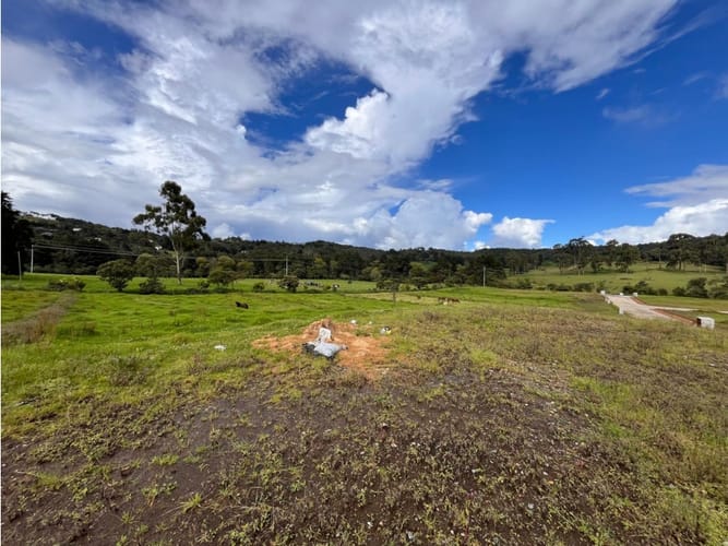 Lote en venta en Las Palmas, Envigado, 2100 m² · foto 5 de 7