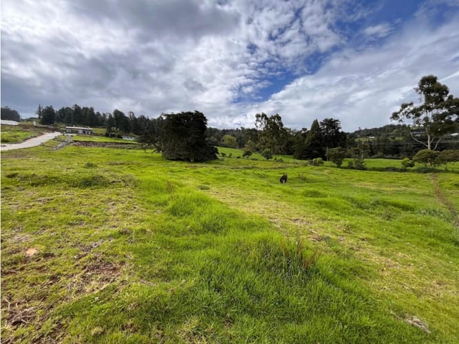 Lote en venta en Las Palmas, Envigado, 2100 m² · foto 6 de 7