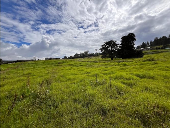 Lote en venta en Las Palmas, Envigado, 2100 m² · foto 7 de 7
