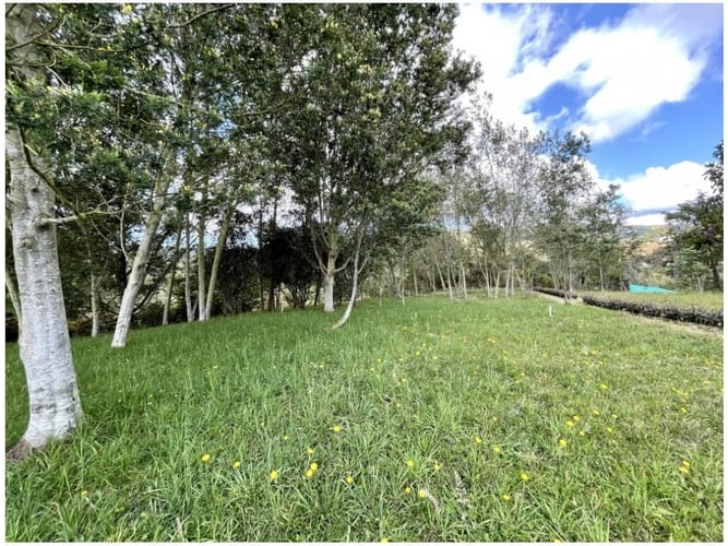 Lote en venta en Vía Las Palmas, Envigado, 2862 m² · foto 6 de 9